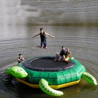 Water trampolines and bouncers